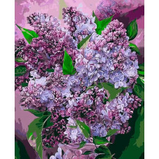 Картина по номерам ВанГогВоМне Красота сирени, 40x50