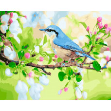 Картина по номерам Paintboy Весенняя птица, 40x50 см