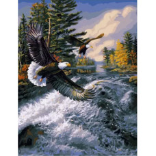 Картина по номерам Paintboy GX 34875 Полет над бушующей рекой 40*50