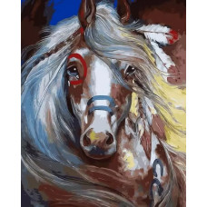 Картина по номерам Цветной Индейская красотка, 30x40 см