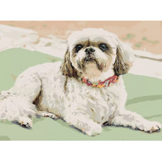 Картина по номерам Живопись по Номерам Собака, 30x40