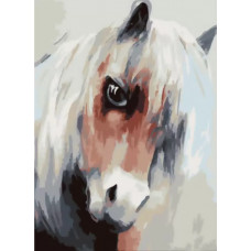 Картина по номерам Белоснежка Лошадка, 30x40