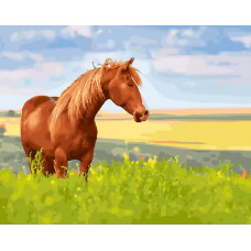 Картина по номерам Paintboy Лошадь в поле, 40x50 см
