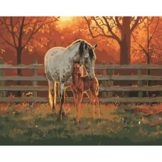 Картина по номерам Цветной Уединение, 40x50 см