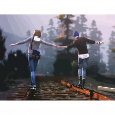 Картина по номерам на холсте Life is Strange 3 40 x 30