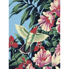 Картина по номерам Живопись по Номерам Колибри у цветка, 30x40