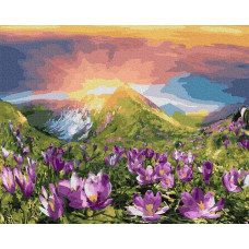 Картина по номерам Molly Восход, 40x50