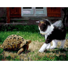 Картина по номерам Цветной Котенок и черепаха, 40x50 см