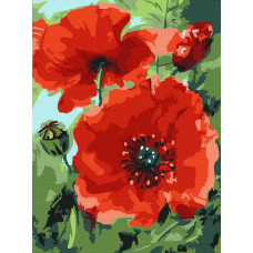 Картина по номерам Molly Маки, 15x20