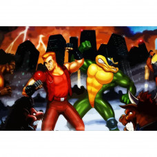 Картина по номерам Бруталити Battletoads & Double Dragon 1 см