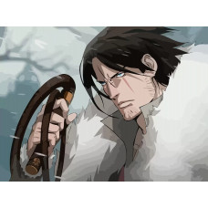 Картина по номерам Бруталити Аниме Castlevania Кастельвания 7429 Г на холсте 30 x 40