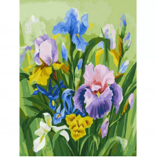 Картина по номерам Белоснежка Нежные ирисы, 30x40