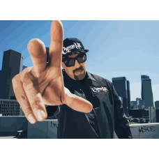 Картина по номерам Бруталити Cypress Hill 3 на холсте 40x30