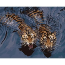 Картина по номерам Цветной Мощные тигры в воде, 40x50 см