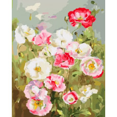 Живопись по номерам Color Kit Нежные цветы 40x50