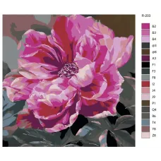 Картина по номерам BRUSHES-PAINTS Цветы R-203 70x70 см