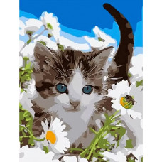 Картина по номерам Paintboy В ромашковом поле, 20x30 см