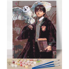 Картина по номерам: Harry Potter – Гарри Поттер и Сова