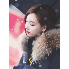 Картина по номерам Бруталити TWICE Kpop Nayeon 19 на холсте 40x30