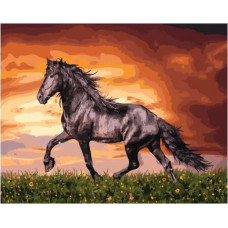 Картина по номерам Paintboy GX 34880 Черный конь 40*50