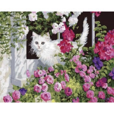 Живопись по номерам Paintboy Белая кошечка в саду 40x50