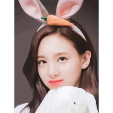 Картина по номерам Бруталити TWICE Kpop Nayeon 17 на холсте 40x30