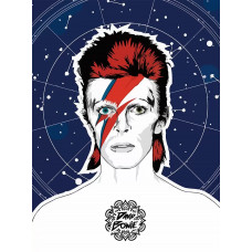 Живопись по номерам Бруталити Музыка Dawid Bowie Дэвид Боуи - 6376 В