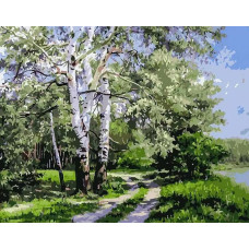 Картина по номерам Белоснежка Белая береза, 40x50