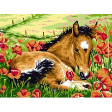 Картина по номерам Paintboy Жеребёнок среди цветов, 30x40
