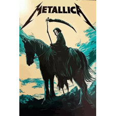 Живопись по номерам Бруталити Музыка Metalica - 6317 В