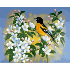 Живопись по номерам Paintboy Птица и цветы 40x50