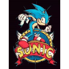 Картина по номерам Бруталити Игра Sonic 8057 В на холсте 30x40