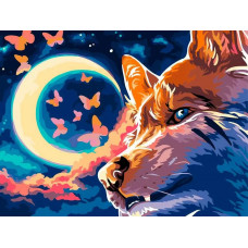 Картина по номерам Фрея Ночное небо, 30x40