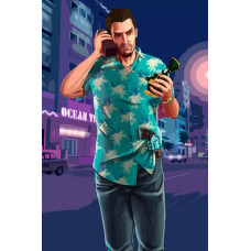Живопись по номерам Бруталити игра Grand Theft Auto 5376