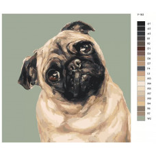 Живопись по номерам BRUSHES-PAINTS Удивленный мопс. Собака