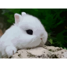 Живопись по номерам Бруталити Милые животные 5630
