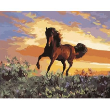 Картина по номерам Paintboy Скакун на закате, 40x50 см