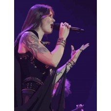 Картина по номерам Бруталити Nightwish 6 на холсте 40x30