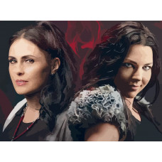 Картина по номерам Бруталити Within Temptation 1 на холсте 40x30