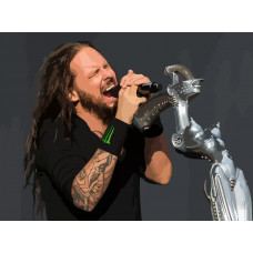 Картина по номерам Бруталити Korn 136 на холсте 40x30 Картина по номерам Бруталити Korn 136 на холсте 40x30