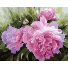 Картина по номерам Paintboy GX 33958 Крупные пионы 40*50