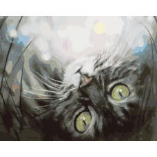 Картина по номерам Цветной Кошечка в мечтах, 30x40 см