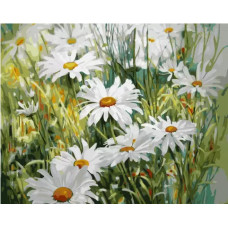 Живопись по номерам Paintboy  GX 32263 Ромашки в поле 40*50