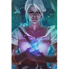 Картина по номерам на холсте Ведьмак witcher цири с птицей 2356 40X60