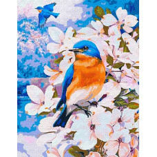 Картина по номерам Цветной Весенние птички, 30x40