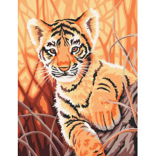 Картина по номерам Dimensions Тигренок, 24x30