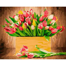 Живопись по номерам Фрея Тюльпаны 40x50