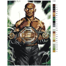 Живопись по номерам BRUSHES-PAINTS Камару Усман, боя без правил