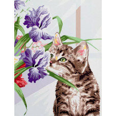 Картина по номерам Paintboy Котенок с ирисами, 30x40 см
