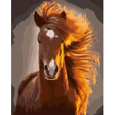 Картина по номерам  Paintboy (Premium) Прекрасный конь